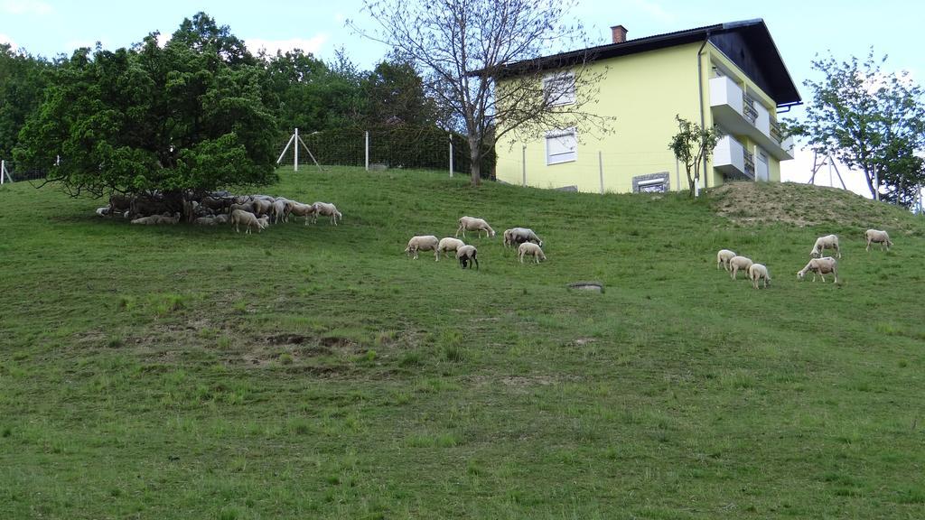 Apartamento Relax Center Olimian Podčetrtek Exterior foto